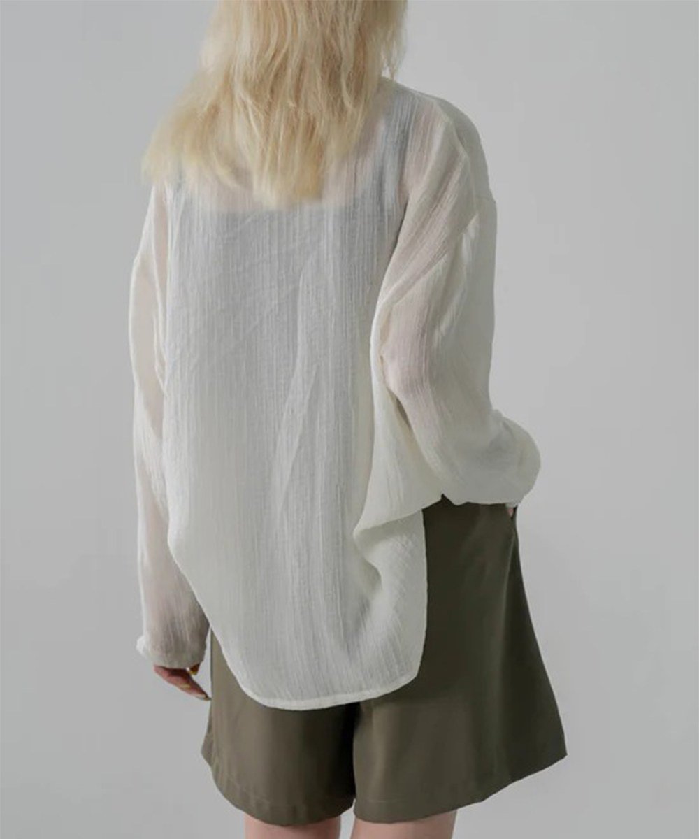 長袖透膚上衣 Long Sleeve Tulle Top